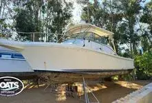 CAYMAN YACHTING CAYMAN 30 WA - 1995