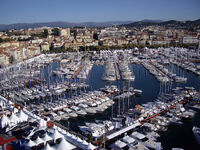 salon de cannes 2010